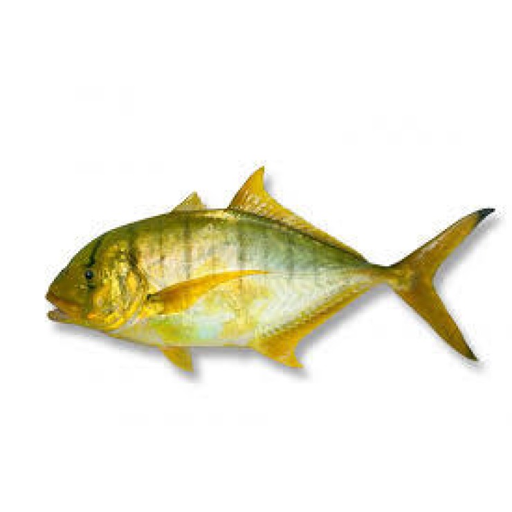 Cleaned Golden Trevally Medium /  Vatta / വറ്റ (400gm) 